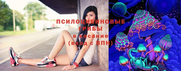 мяу мяу мука Абинск