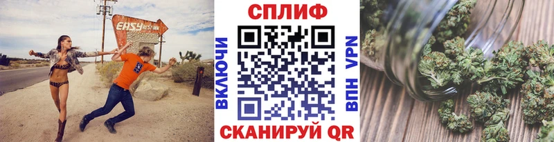 Конопля индика  Сертолово 